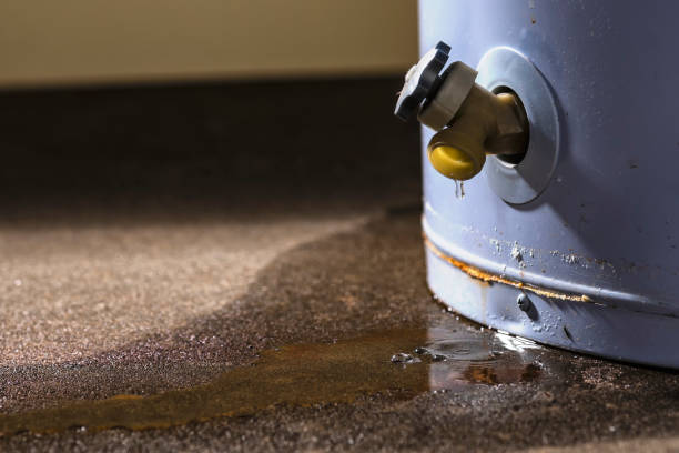 Best Residential water damage restoration  in Munsons Corners, NY