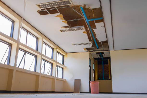 Best Ceiling water damage repair  in Munsons Corners, NY