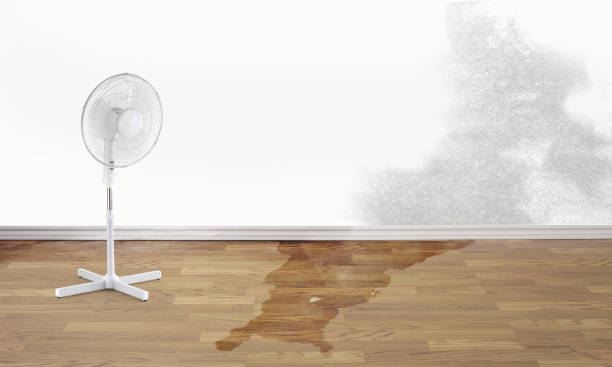 Carpet water damage restoration in Munsons Corners, NY