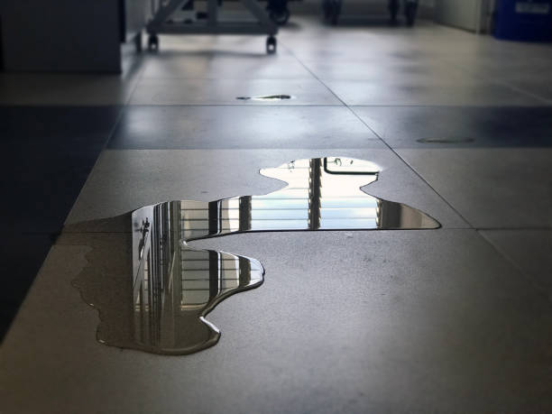 Best 24-hour water damage restoration  in Munsons Corners, NY