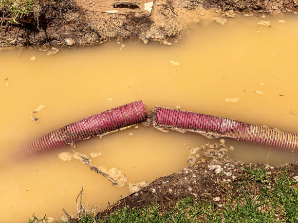 Best Flood damage cleanup  in Munsons Corners, NY